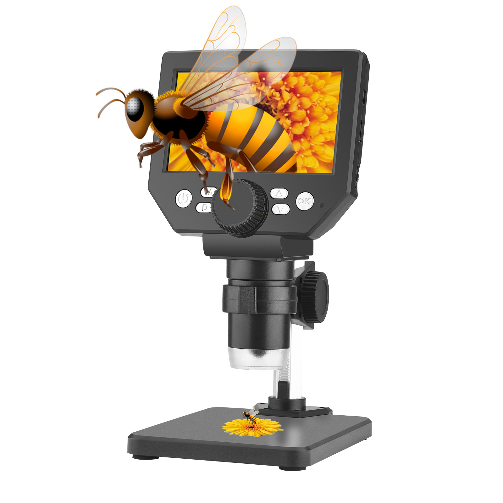 USB 4,3-calowy mikroskop cyfro – Usb Microscope 1000X Digital recenzja i cena